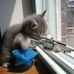 Profile Picture of Jacques Sparrow (@sparrow.jacques.3) on Facebook