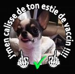 Profile Picture of Stephen Poulin (@stephen.poulin.568) on Facebook