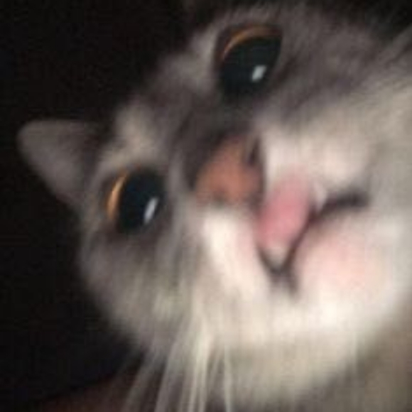 Profile Picture of Payton Karichner (@pkarichner) on Poshmark