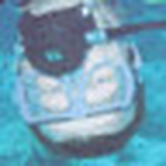 Profile Picture of Jimmy Robinson (@Jimmy Robinson) on Flickr