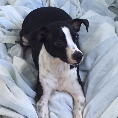 Profile Picture of William Walcott (@WilliamRWalcott) on Twitter