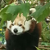 Profile Picture of Marcel Berg (@marcelberg7951) on Youtube