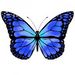 Profile Picture of Kasey MacRae (@kasey0209) on Pinterest