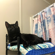 Profile Picture of Wesley/Julia Street (@wesleyjuliastreet1309) on Youtube