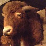 Profile Picture of Robert Engelen (@robert.engelen.13) on Instagram