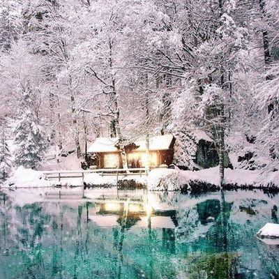 Profile Picture of Daniel Whittaker (@whittdandw) on Twitter