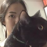 Profile Picture of Kenneth JC ❤️ (@smalleyeswong) on Instagram