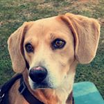 Profile Picture of Daniel Callaway (@daniel.callaway.906) on Instagram