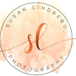 Profile Picture of Susan Lindberg (@susanlindberg20) on Twitter