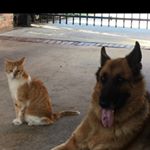 Profile Picture of Becca-Richard Overton (@beccawoverton) on Instagram