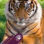 Profile Picture of Lázaro Sanches Capote (@Lázaro-Sanches-Capote) on Facebook