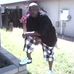 Profile Picture of Jason Hambrick (@jason.hambrick.3) on Facebook