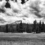 Profile Picture of Larry Jordan (@larryjordandist1) on Instagram