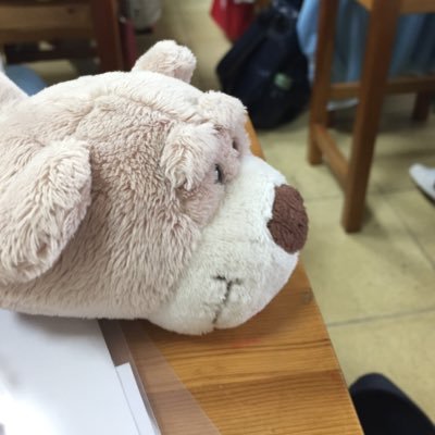 Profile Picture of Sylvia Yeh (@SylviaYeh3) on Twitter