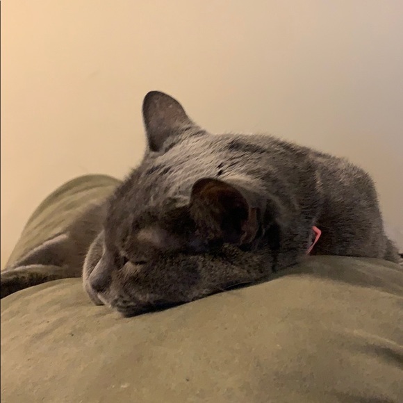 Profile Picture of Michael Huycke (@candyman0531) on Poshmark