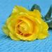 Profile Picture of Rozann Burggraaf (@Rozann-Burggraaf) on Facebook