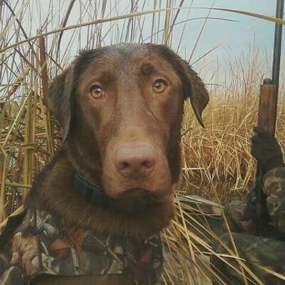 Profile Picture of Matt Pahl (@MattPahl) on Twitter