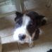 Profile Picture of Tammy Littrell (@tammy.littrell.102) on Facebook
