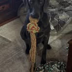 Profile Picture of Justin Adamski (@justin.adamski.2025) on Facebook