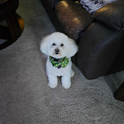 Profile Picture of David Driggers (@daviddriggers3682) on Youtube