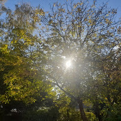 Profile Picture of David LAU (@DavidLAU-hmira97) on Youtube