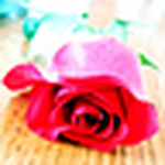 Profile Picture of Kim (@paint.splatters.on.my.wall.) on Flickr