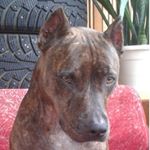 Profile Picture of Michael Miller (@starikovaoyama) on Instagram