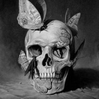 Profile Picture of Selena Weaver (@selena-weaver-7) on Quora