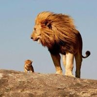 Profile Picture of Martin Currie (@martin-currie-7) on Quora