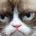 Profile Picture of Kaleb Byrd (@byrdkaleb) on Instagram