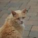 Profile Picture of Michael Hiller (@michael.hiller.5243) on Facebook