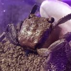 Profile Picture of Chris Dargay (@chris.dargay) on Facebook