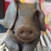 Profile Picture of Paul Drewes (@@2185026341) on Tiktok