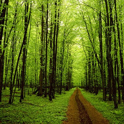 Bryan Canavan - Twitter Profile Picture of Bryan Canavan (@bryancanavan11) on Twitter