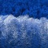 Profile Picture of Haley England (@haley-england) on Quora