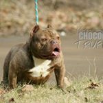 Josh Turnbow - Instagram Profile Picture of Josh Turnbow (@josh_urban_legendz) on Instagram