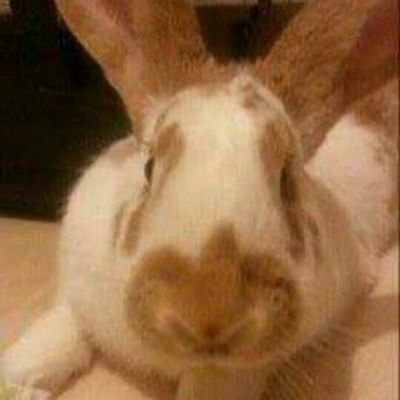 Profile Picture of Nole#1❤Avan❤Michael☝ (@Sarah231184) on Twitter