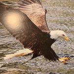 Profile Picture of Abraham Ohanyan (@ohanianabraham) on Instagram