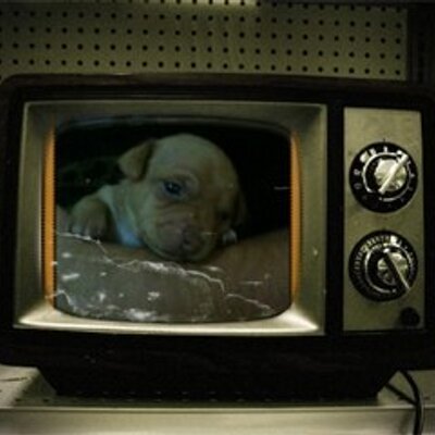 Profile Picture of Steve Lemus (@SteveLemus) on Twitter