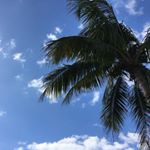 Profile Picture of Jamie Wilkinson (@endlesssummerhome.com_naplesfl) on Instagram