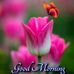 Profile Picture of Malini Dave (@malini.dave.902) on Facebook