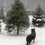 Profile Picture of Neil Jennings (@neil.jennings) on Instagram