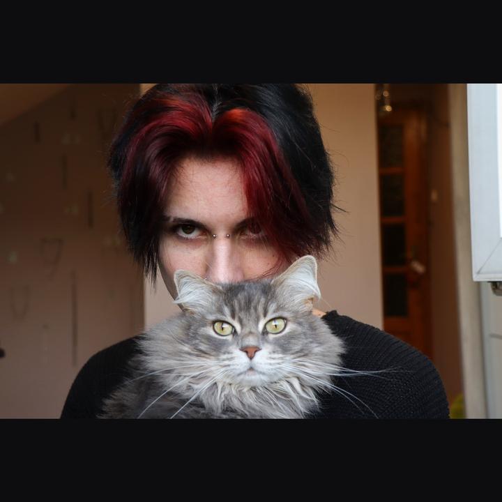 Profile Picture of david.                     🗿 (@david_vardai) on Tiktok