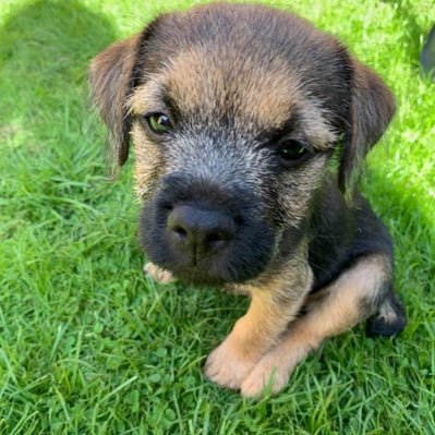 Profile Picture of Chris Milnes (@chris14414) on Twitter