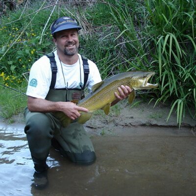 Profile Picture of David Charles Bach (@Lepecheurkiwi) on Twitter
