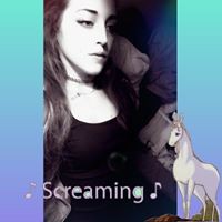 Profile Picture of Amanda Mcaleer (@amanda-mcaleer-2) on Quora