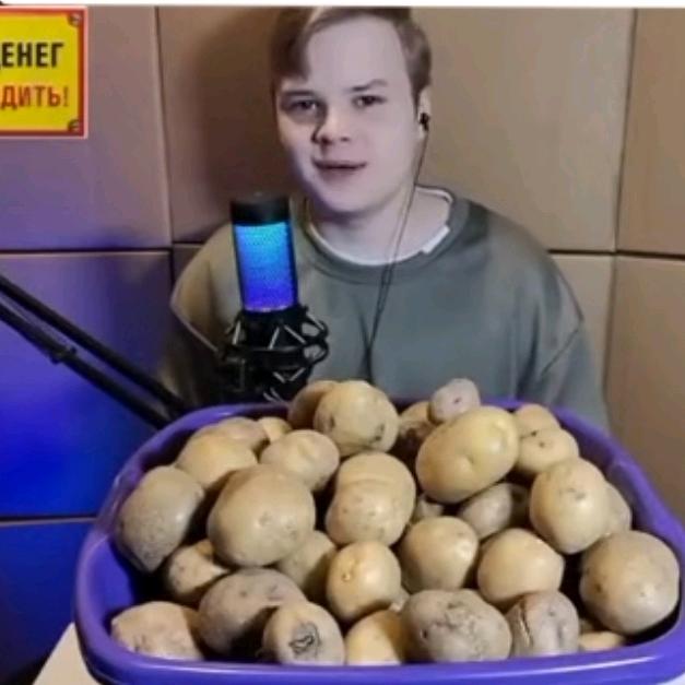 Profile Picture of adamota (@adamota06) on Tiktok