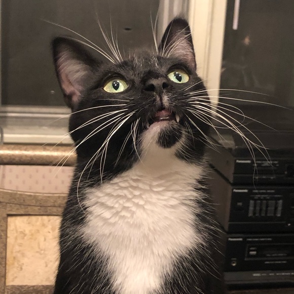 Profile Picture of Emily Kreinbring (@kreinbringe) on Poshmark