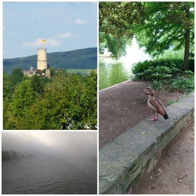 Profile Picture of Eva Conrad (@eva_macon) on Twitter