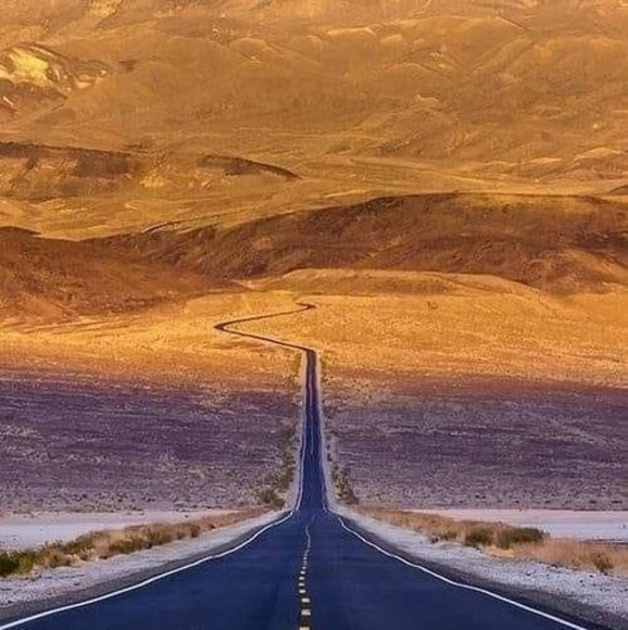 Profile Picture of Robert Steigerwalt (@ras0842) on Poshmark